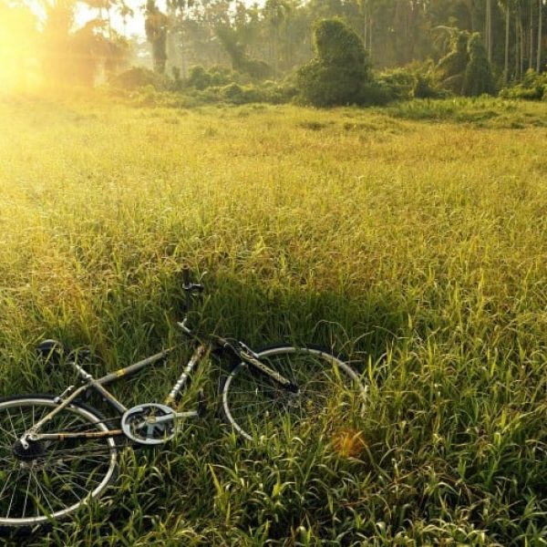 bicycle-241514_1280-750x498